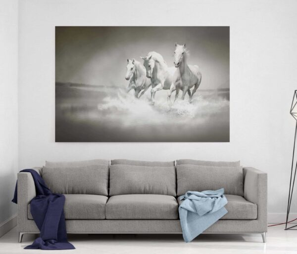 Картина на полотні white horses