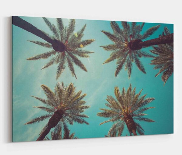 Картина на холсте palms